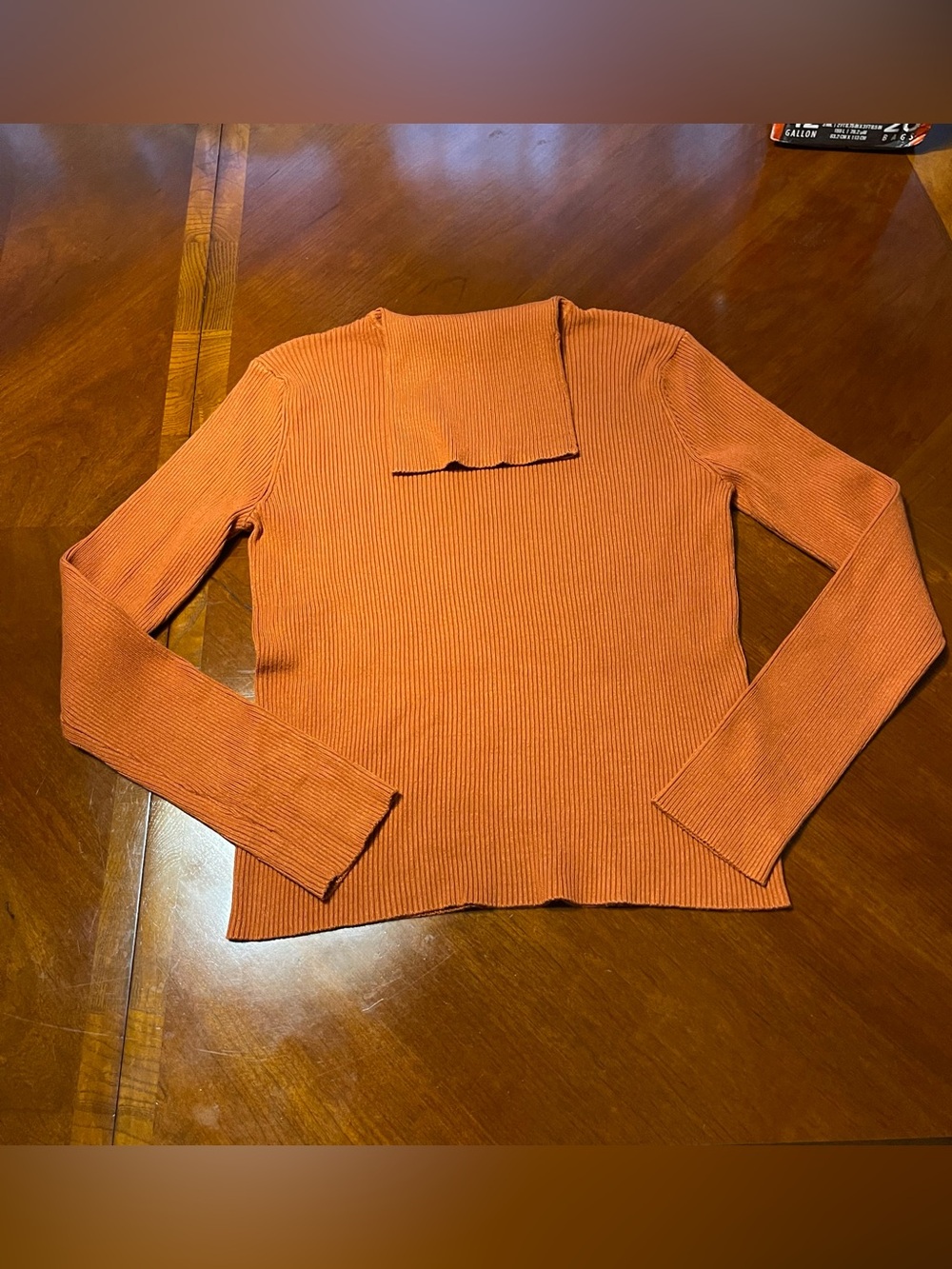 Akira Ribbed Long-Sleeve Turtleneck in Burnt Orange
